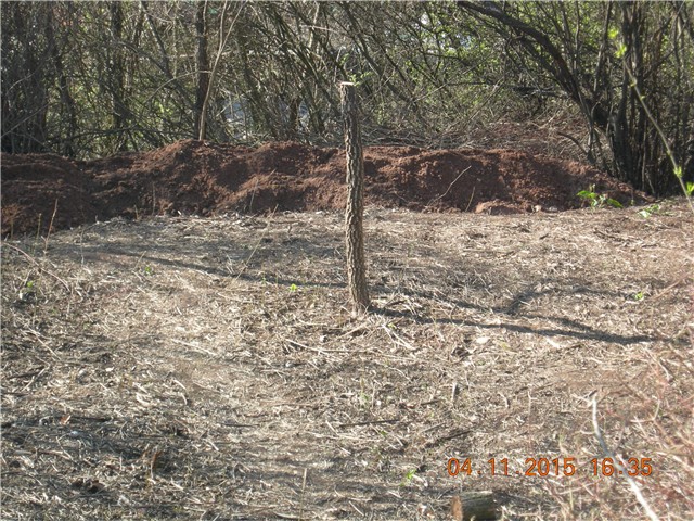 arčilend